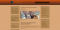 screen1.png