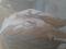 20240529_182002.jpg